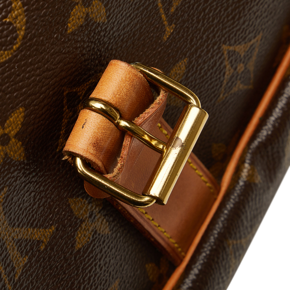 LOUIS VUITTON Monogram Saumur 35 Crossbody Bag - Picture 9 of 13